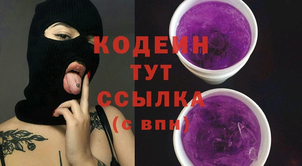 apvp Верея