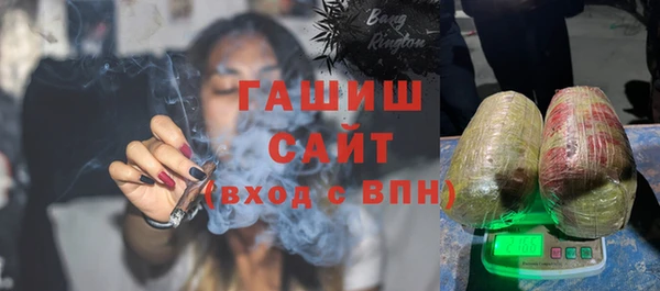 дмт Бородино