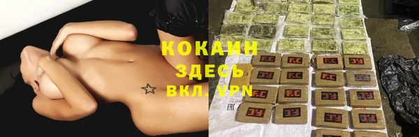дмт Бородино