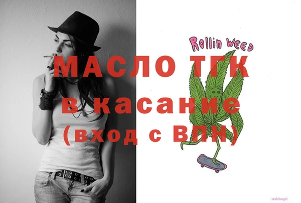 дмт Бородино