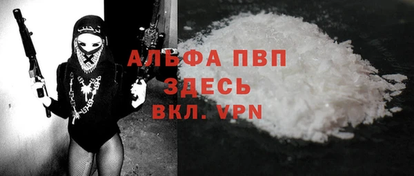 дмт Бородино