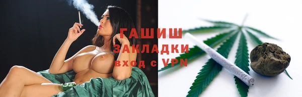 дмт Бородино