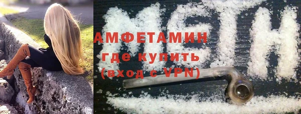 дмт Бородино