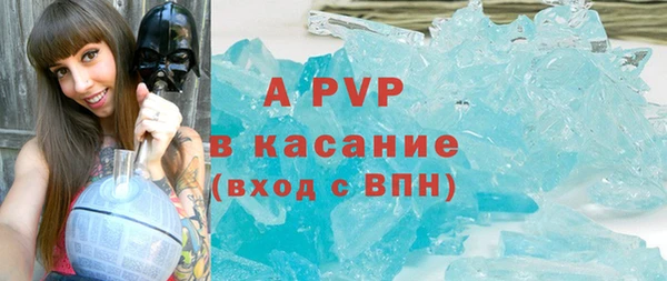 apvp Верея