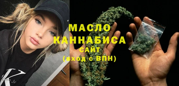 дмт Бородино