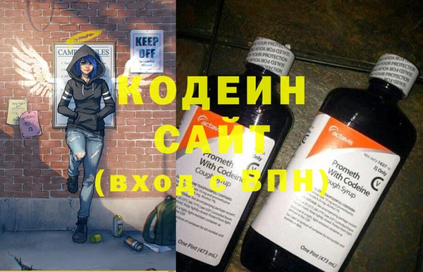 дмт Бородино