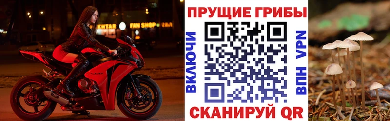 Псилоцибиновые грибы Psilocybine cubensis  blacksprut сайт  Балашиха  купить наркоту 